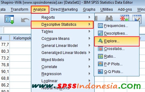 Cara Uji Normalitas Shapiro Wilk Dengan Spss Lengkap Spss Indonesia
