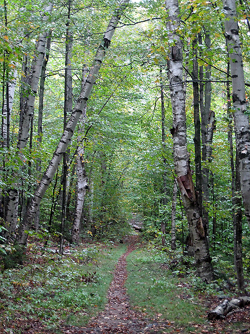 Hiking in the White Mountains Sandwich Dome