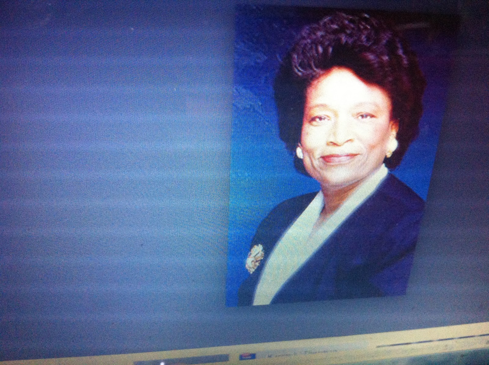 THE BLACK SOCIAL HISTORY BLACK SOCIAL HISTORY AFRICAN AMERICAN