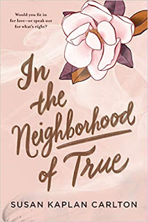 Book Review and GIVEAWAY: In the Neighborhood of True, by Susan Kaplan Carlton {ends 7/16} Book Review and GIVEAWAY: In the Neighborhood of True, by Susan Kaplan Carlton {ends 7/16}