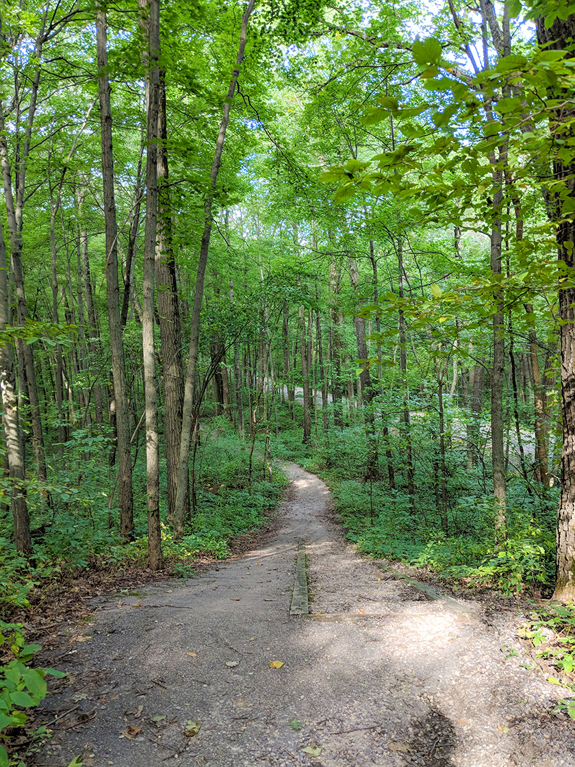 Wisconsin Explorer Grottos And Group Camp Trails At Devil S Lake State Park