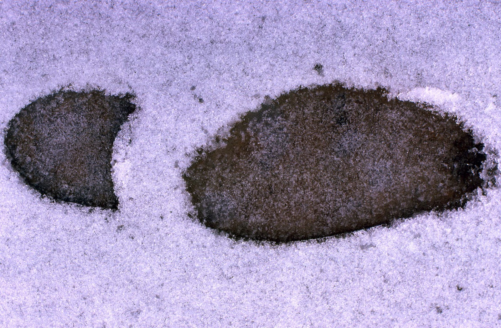 John and Sigrid's Adventures Ice Storm January 1974