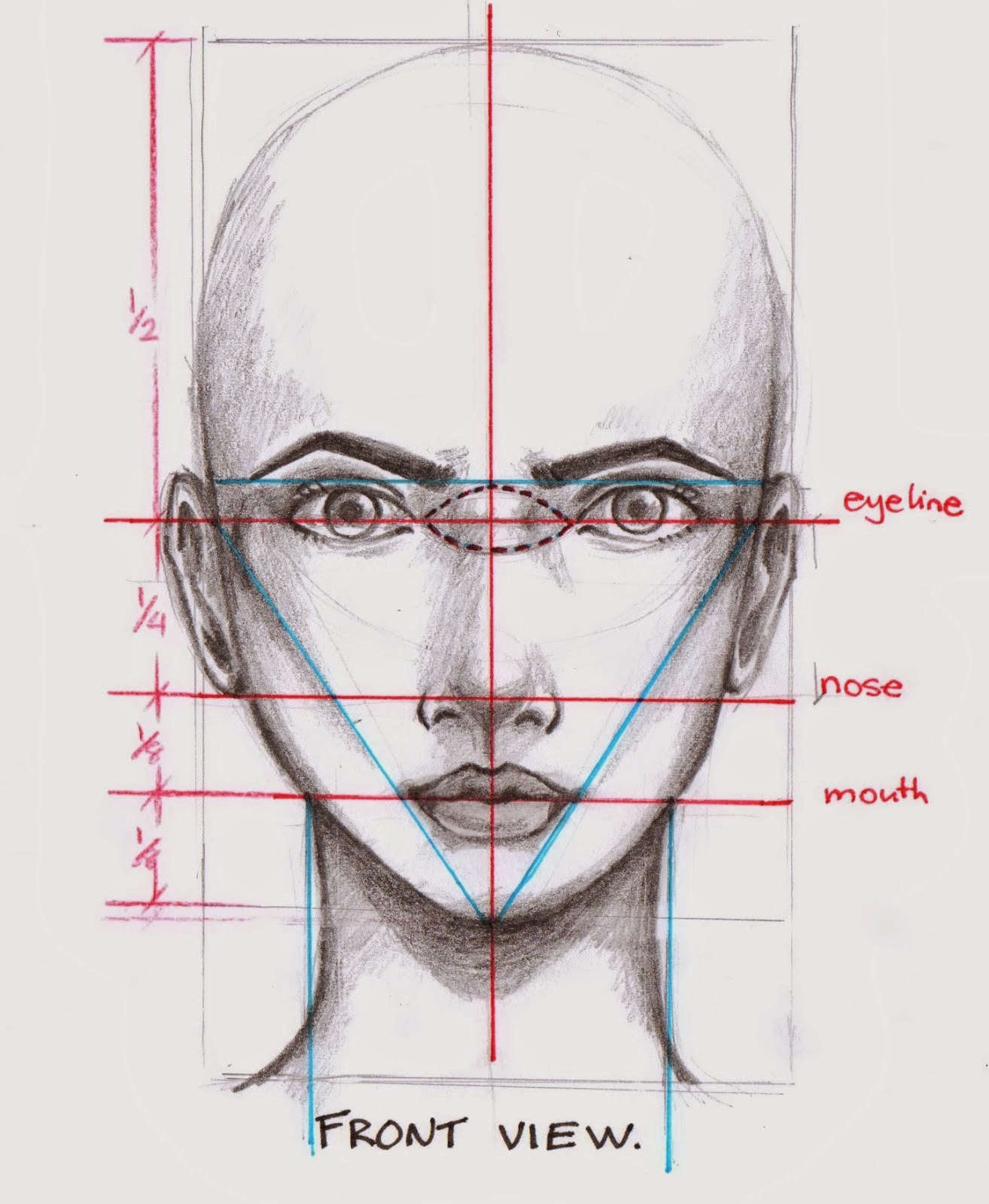 FASHION ILLUSTRATIONS Facial structure