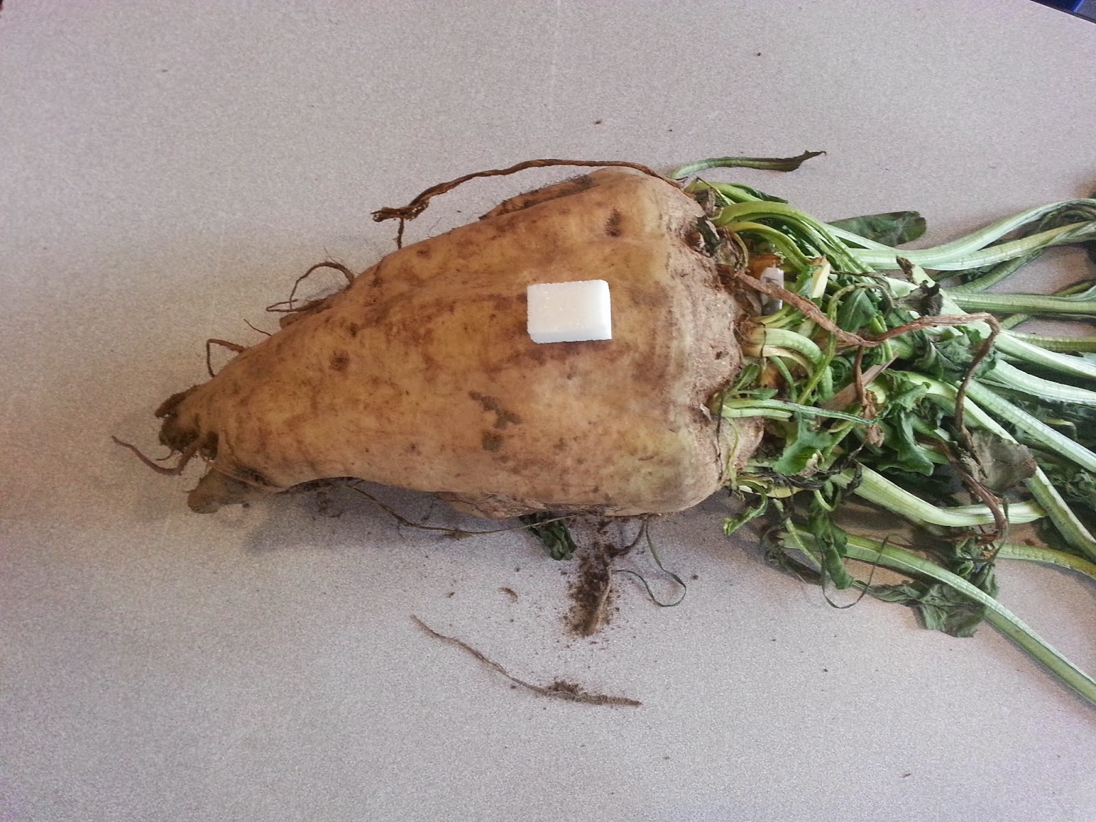 Fabrication du pain c