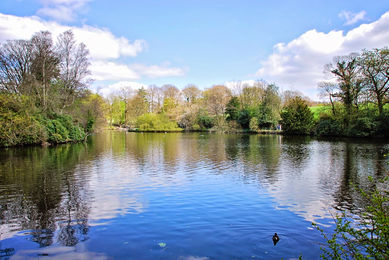 Sheffield Walks Graves Park The Travelling Kind