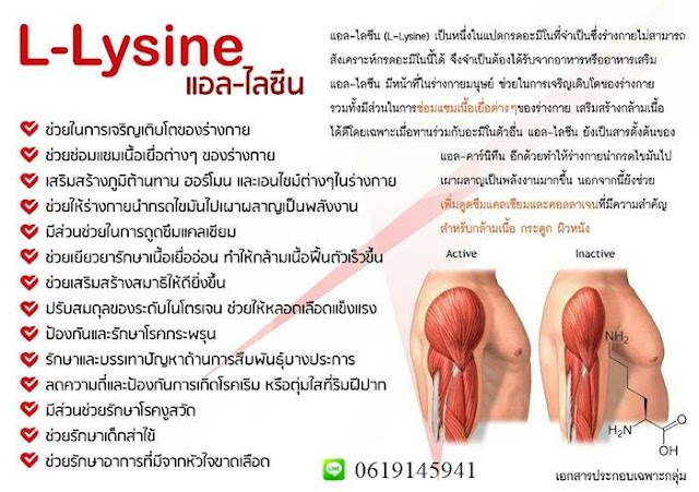 แอล ไลซีน ใน อาร์มิกซ์ นาโนสเปรย์