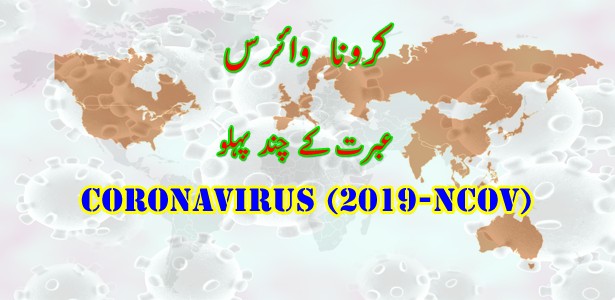 coronavirus-2019-nCoV