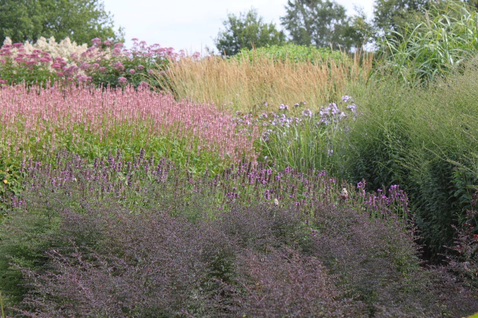 DIE GRÜNE FABRIK Millennium Garden Piet Oudolf