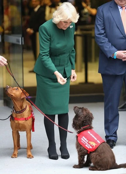 Medical Detection Dogs charity detect the odour of human disease. Camilla, Duchess of Cornwall is patron