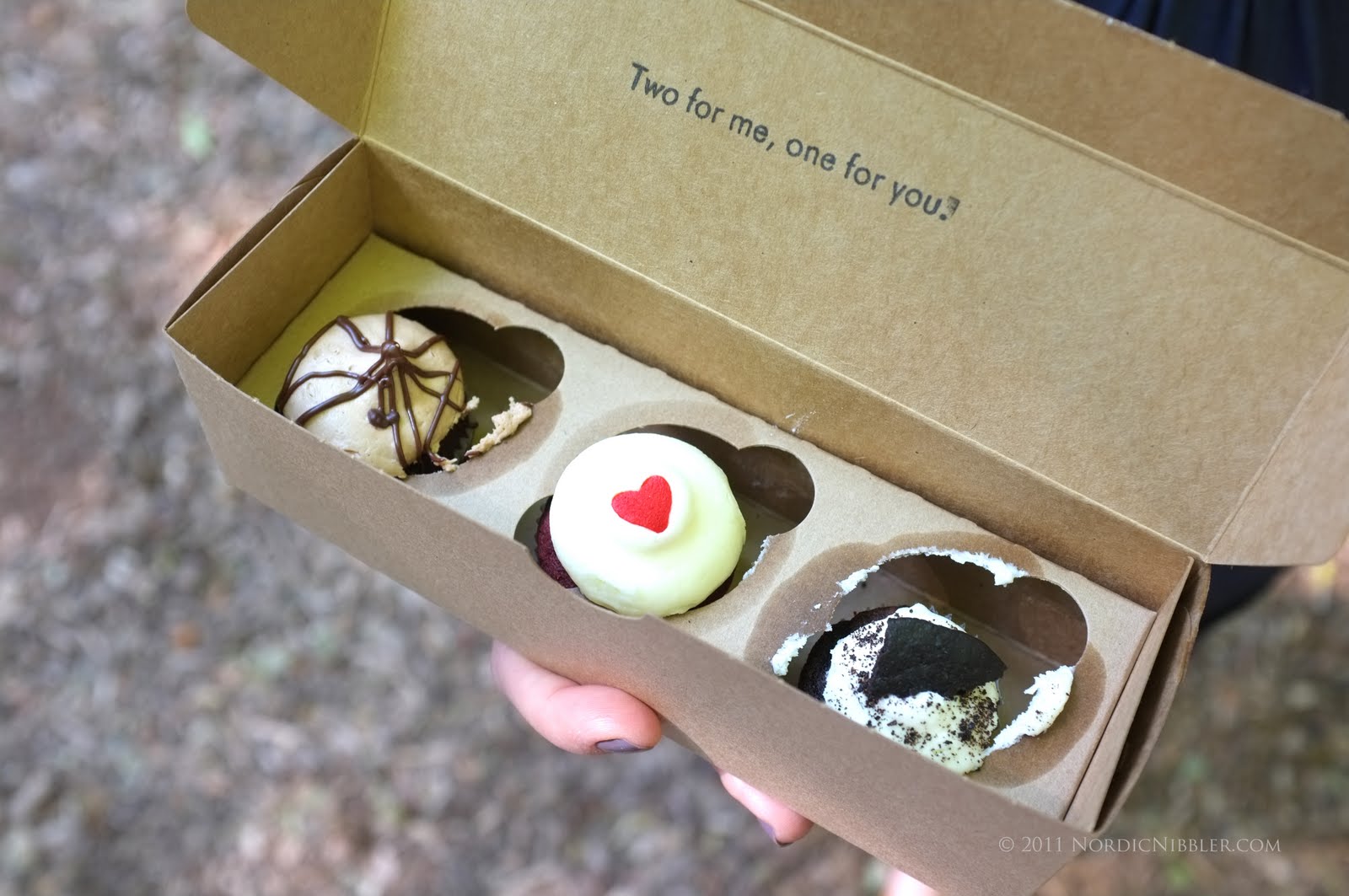 Nordic Nibbler Chicago Food Trucks