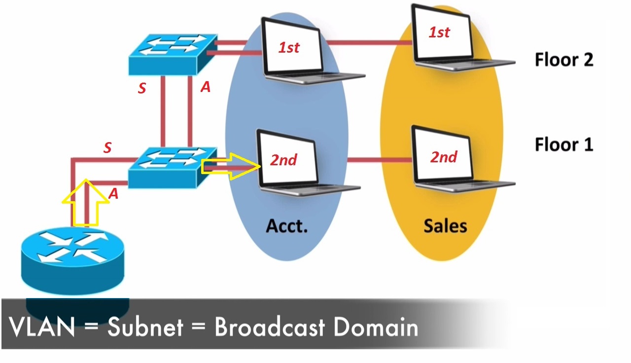 VLAN Theory Best Cisco CCNA CCNP and Linux/CentOS PDF Notes