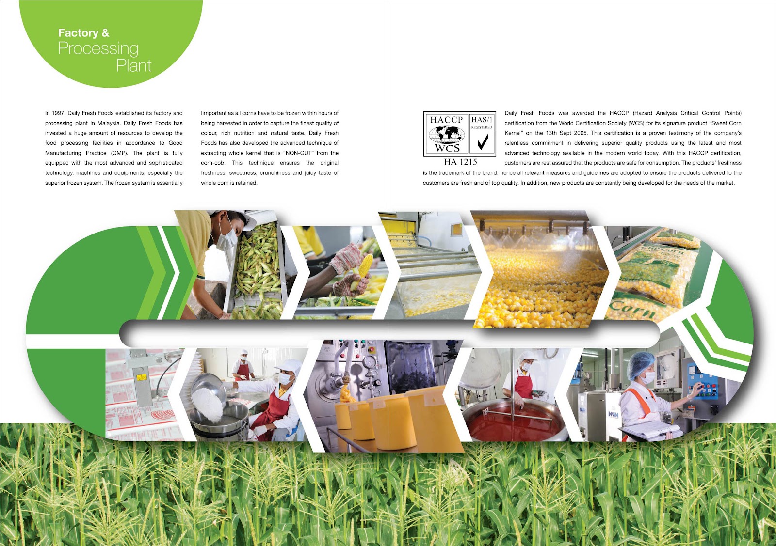 Daily Fresh's Franchise Daily Fresh Franchise Brochures & Application Form