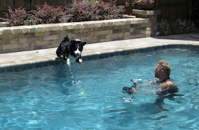 Underwater dogs
