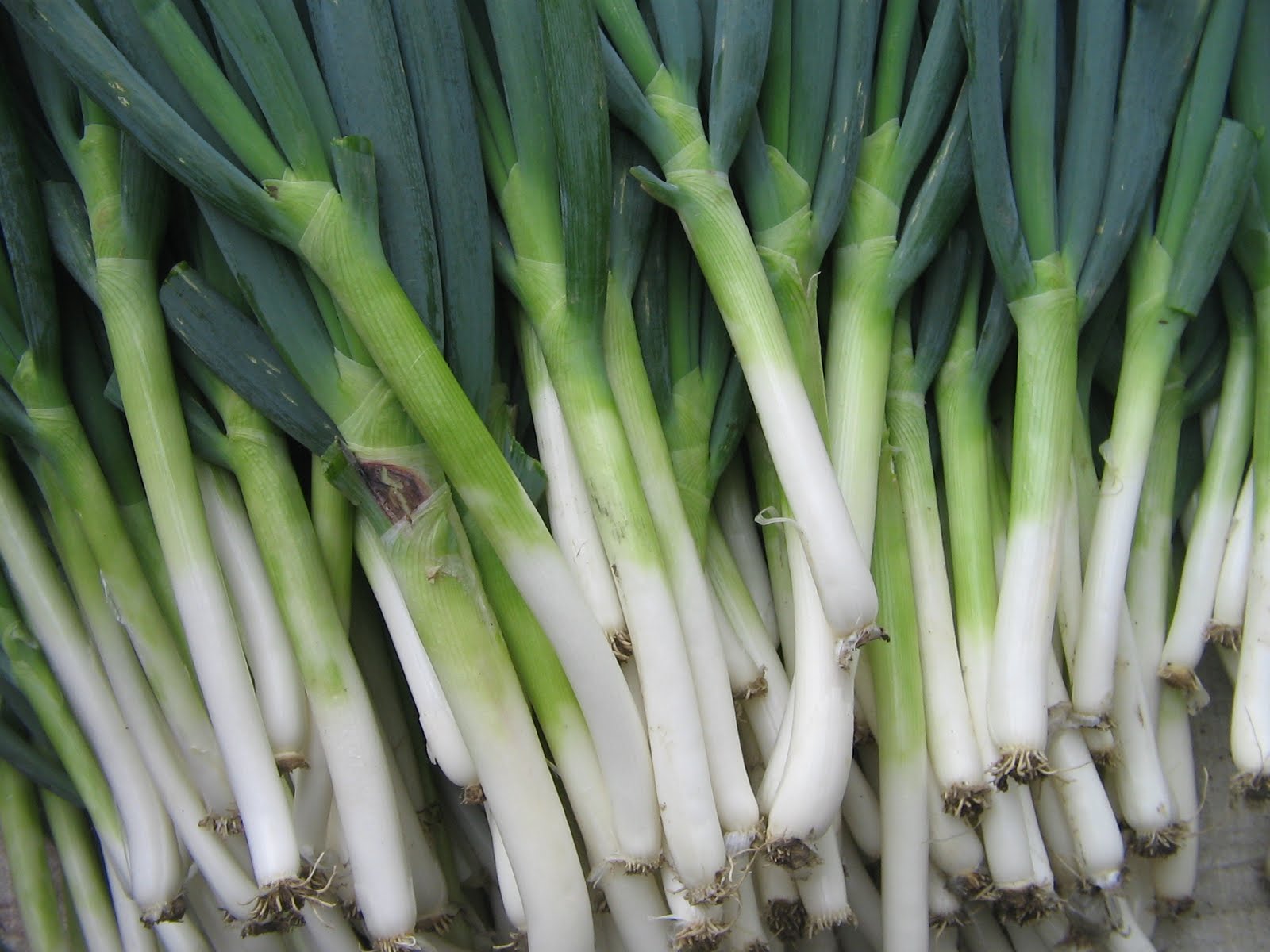 Let's planting, sure exciting