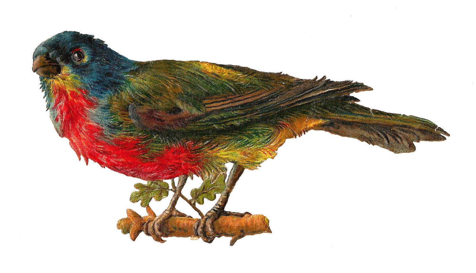 Antique Images: Bird Clip Art: Victorian Bird Die Cut of Rainbow Colored  Bird Perched on Branch