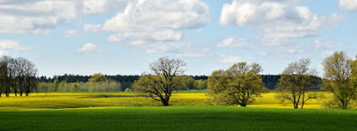 Fotoskola Rēzeknē