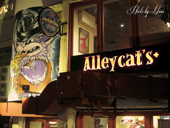 熄燈美食｜Alleycat’s 巷貓餐廳內湖店。品嘗道地的義式手工窯烤披薩