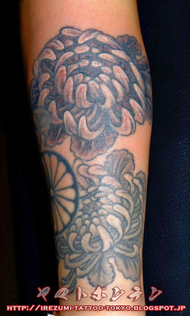 菊, 刺青画像／菊の花 和彫り、墨のボカシの刺青、大和 梵天 大和梵天の刺青スケッチ / Yamato's Tattoo Sketches