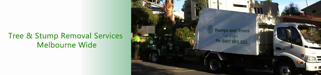 tree removal Melbourne tree removal Melbourne