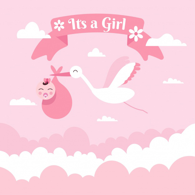 It's a girl baby shower Valentine background Free Vector