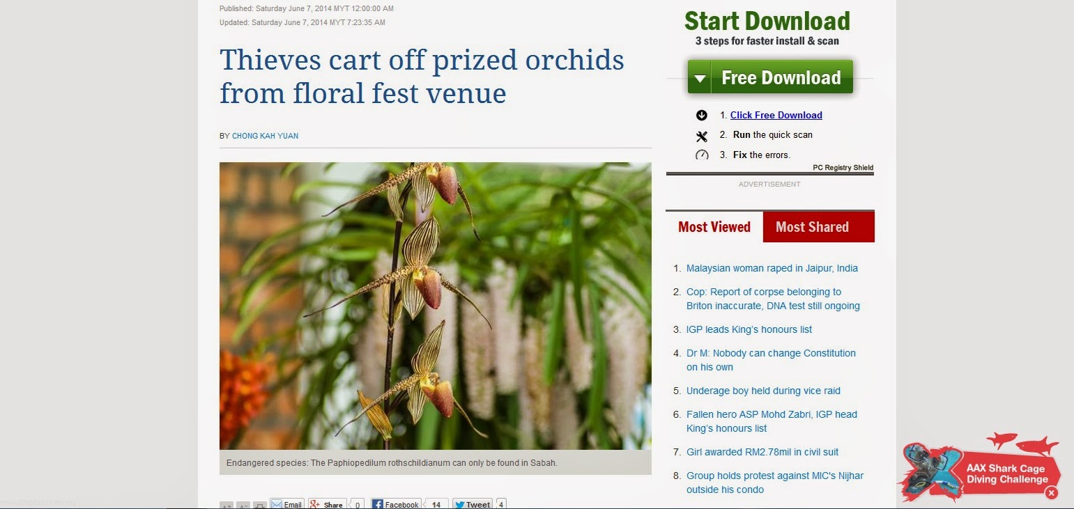 Thieves caff prized orchids from floral fest venue