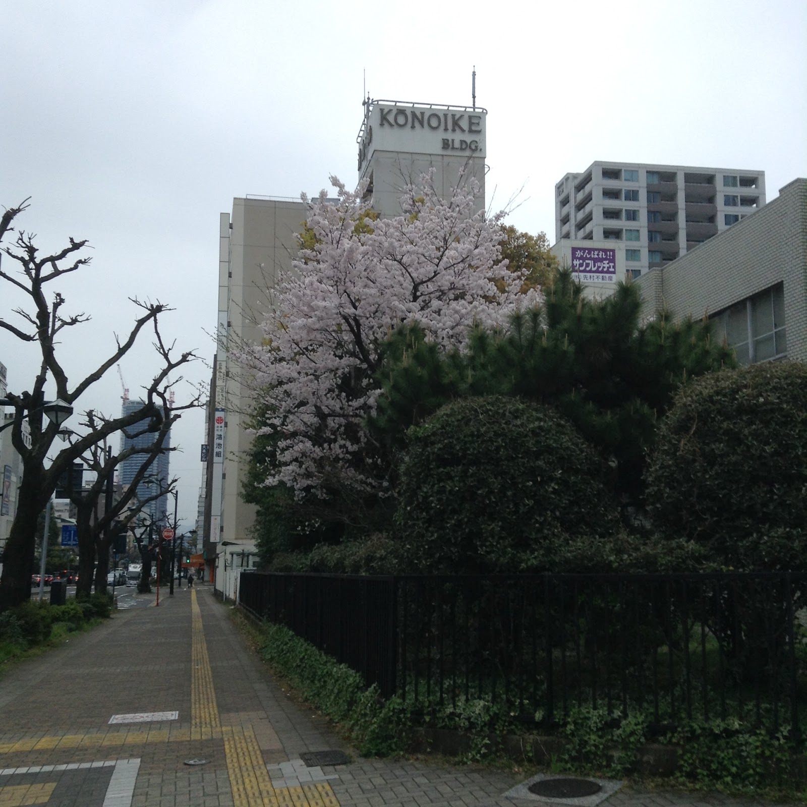 Hiroshima street