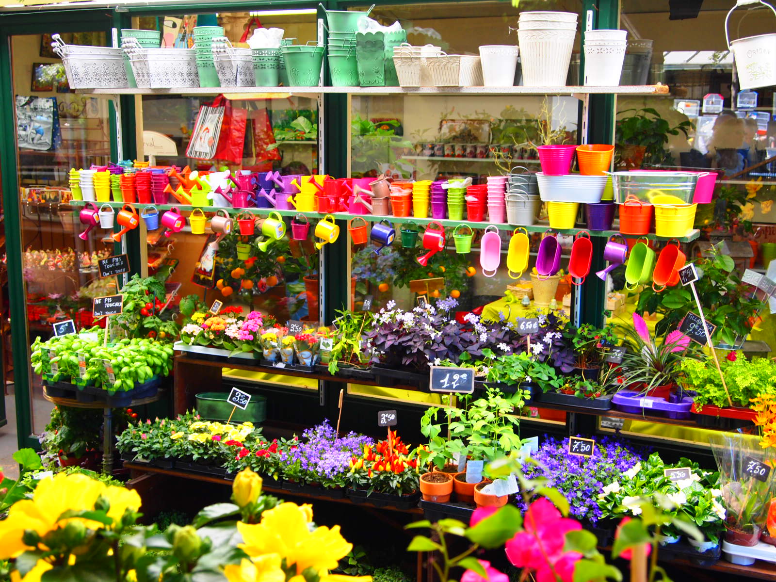 Рижский рынок. Рижский вокзал цветочный рынок. Метро Рижская цветочный рынок. Цветочный рынок Рижская метро Рижская. Рижская метро цветы рынок.