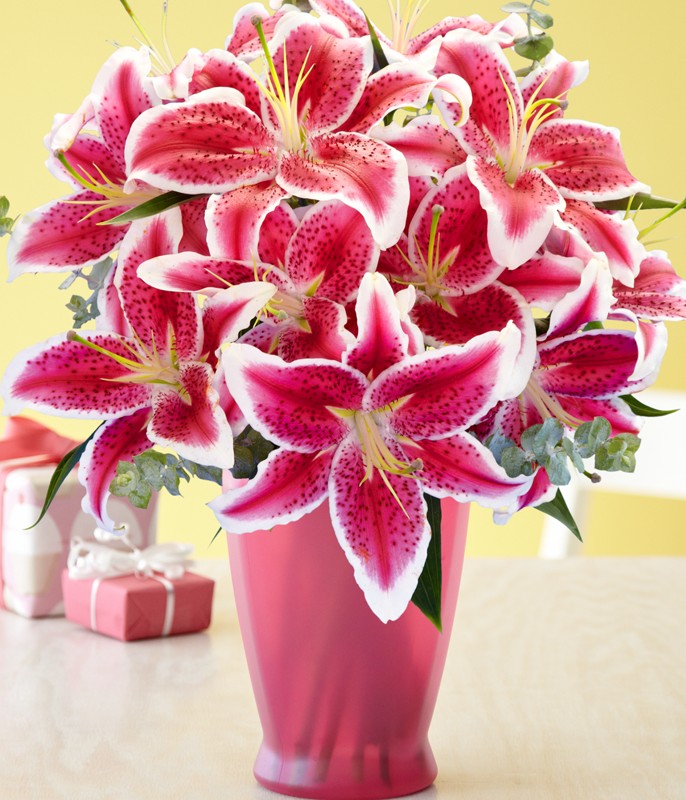 Send Birthday Flowers Send Birthday Flowers