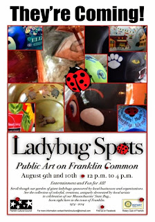 Ladybug spots - Aug 9 and 10
