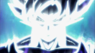 Goku almost Ultra Instinct Goku almost Ultra Instinct