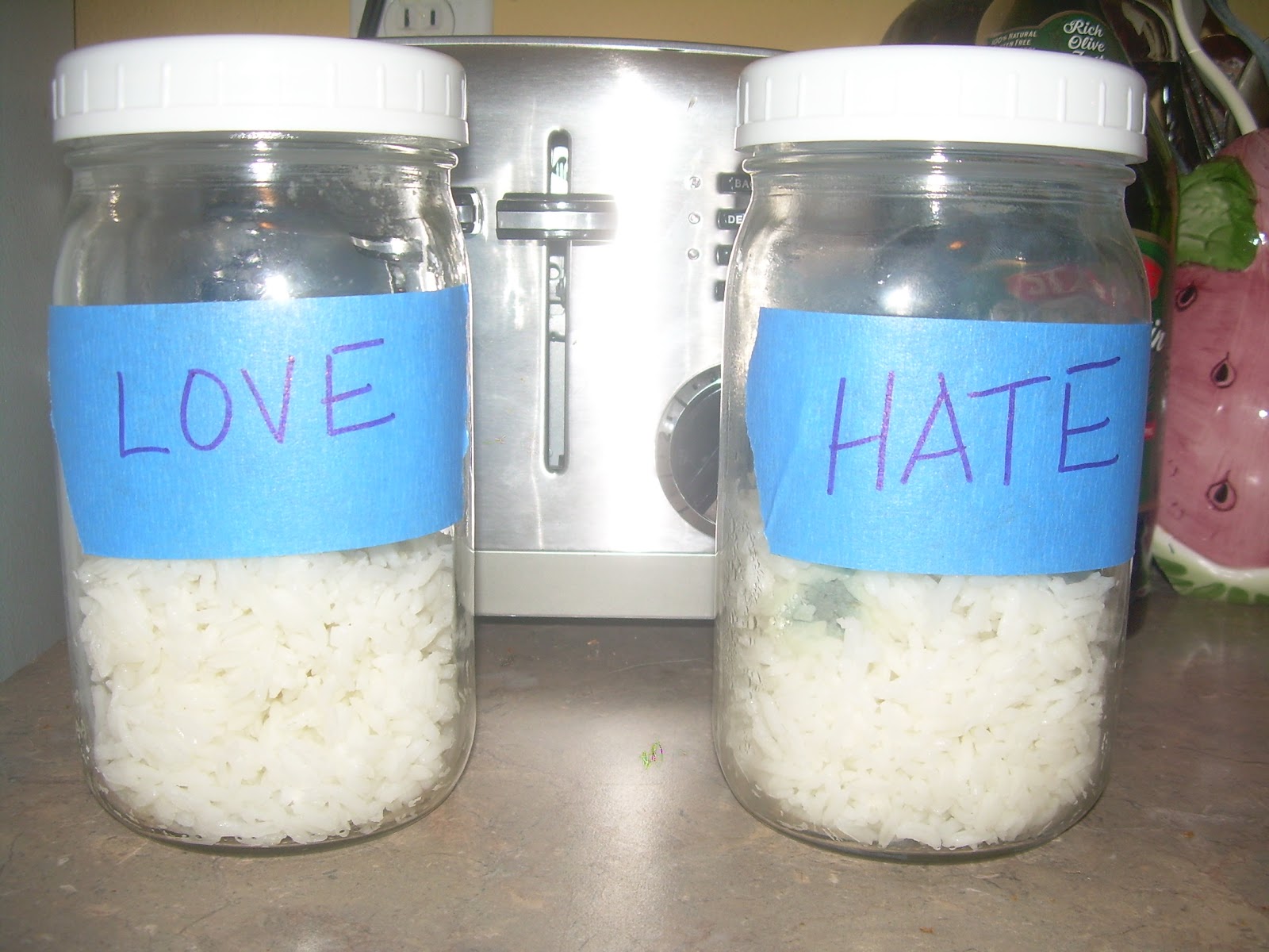 Cranberry Corner: Be Nice to Your Rice: The Rice Experiment