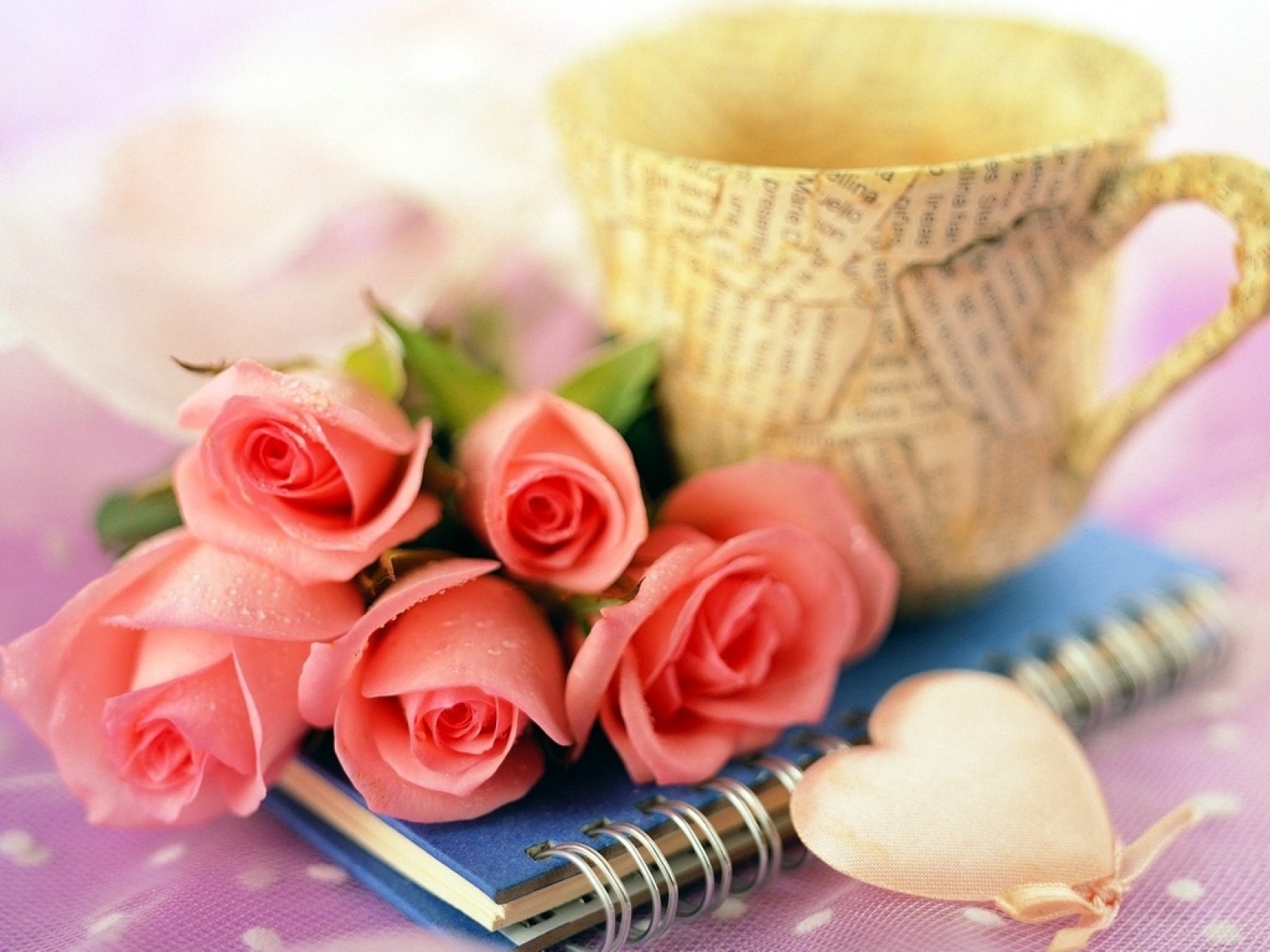 Cute Rose Pictures: Rose Wallpaper