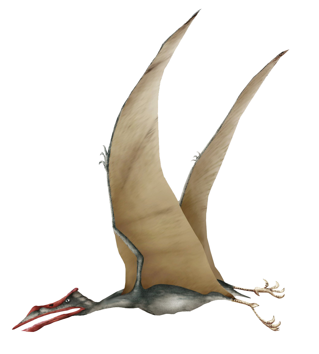Кетцалькоатль Птерозавр. Кетцалькоатль птеродактиль. Анхангера Птерозавр. Птерадон