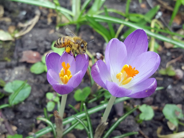 Le vieux Clos : Le temps a laissé son manteau