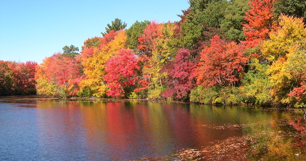 My Northwest Rhode Island Burrillville Foliage