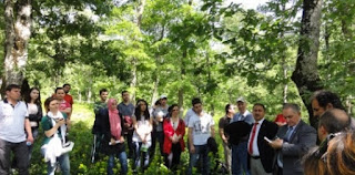 Orman Mühendisliği atamaları Orman Mühendisliği atamaları