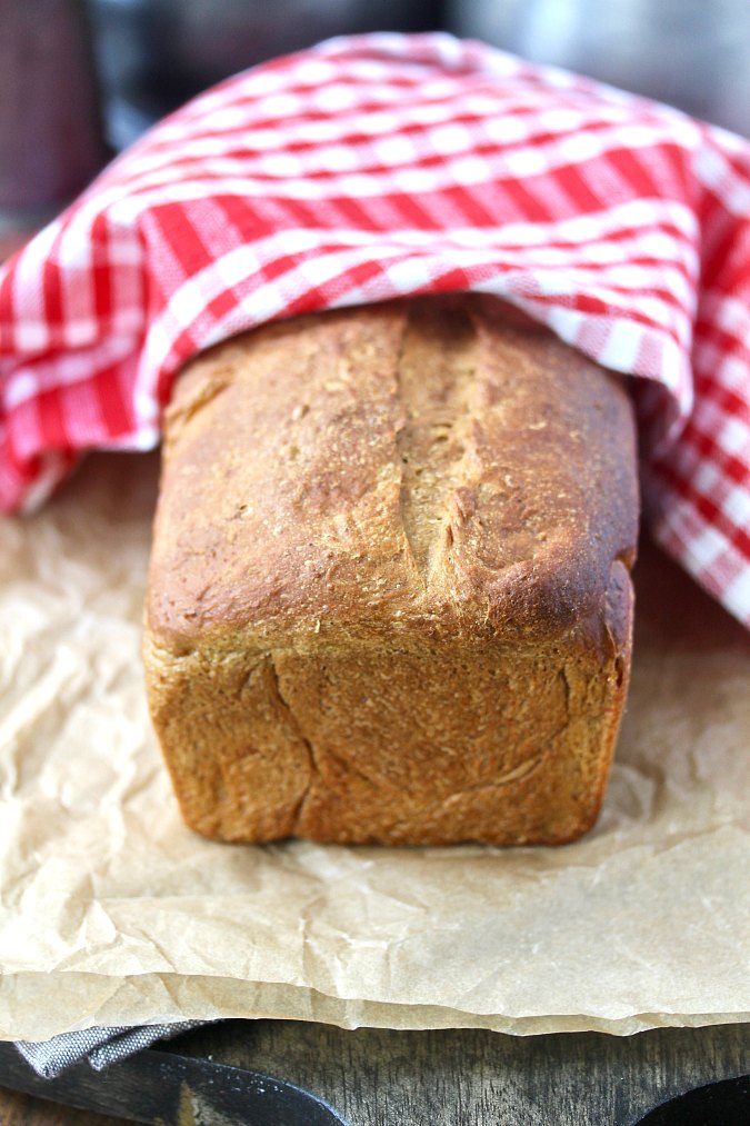 New England Old Fashioned Oatmeal Bread New England Old Fashioned Oatmeal Bread