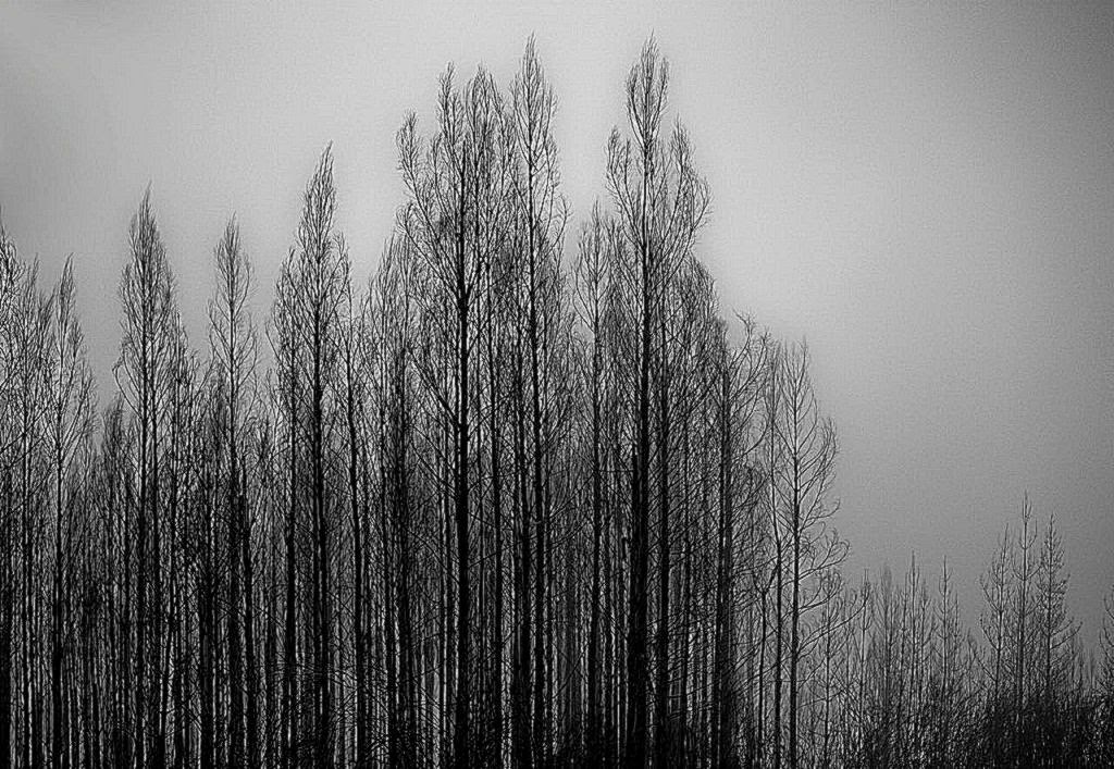 1900X1200  Awesome Wallpapers