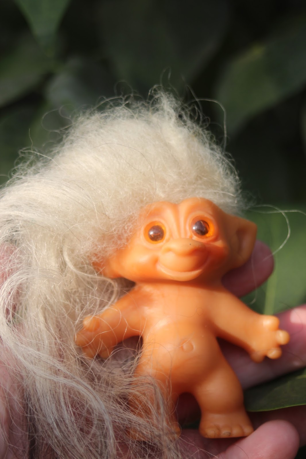 wishnik troll