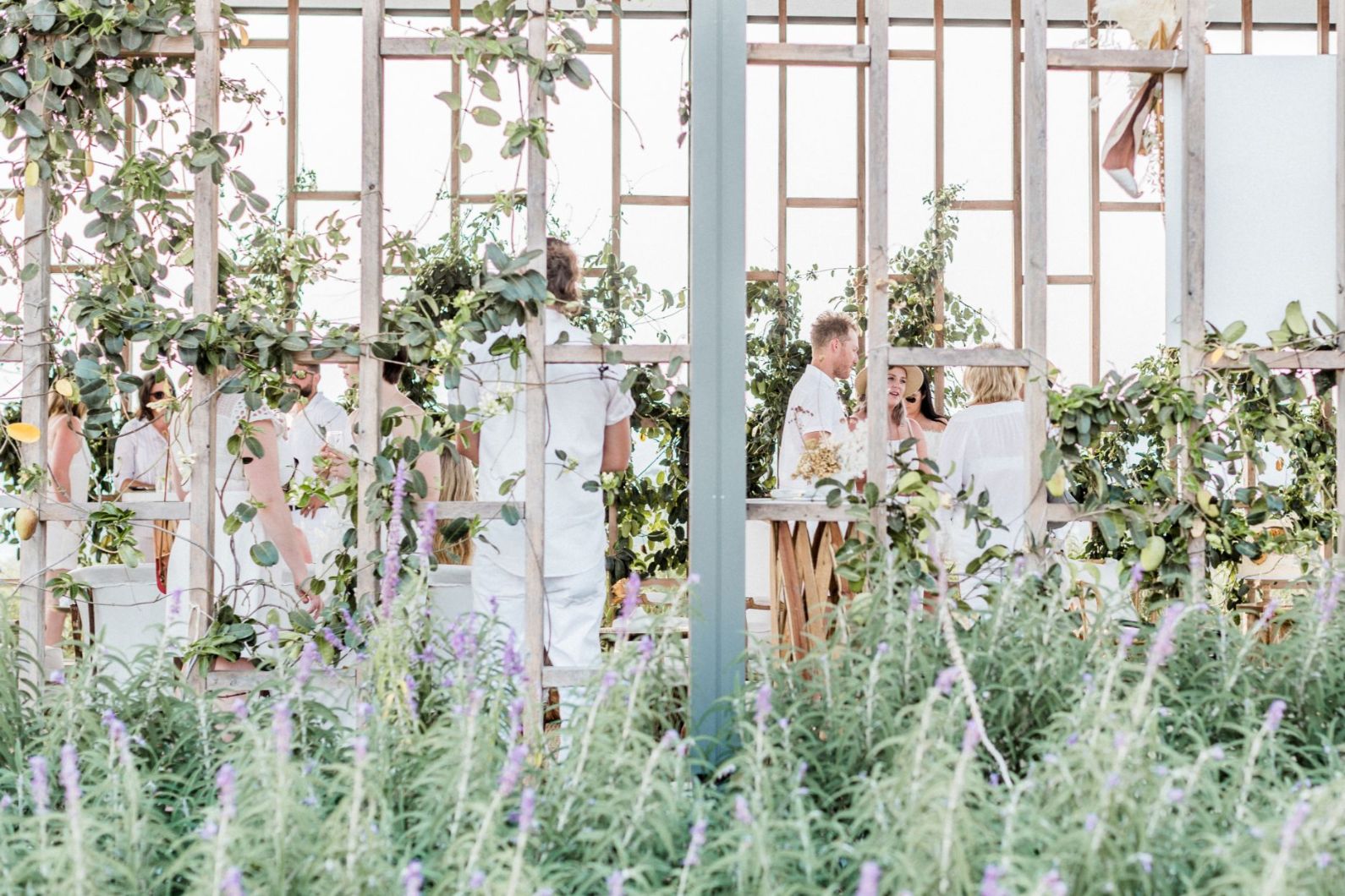 to the aisle australia | scenic rim bride wedding styling roost film co kooroomba lavender farm wedding venue photography styling boho luxe country