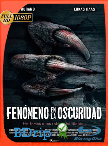 Fenómeno en la Oscuridad (2014) BDRIP 1080p Latino Dual [GoogleDrive] TeslavoHD