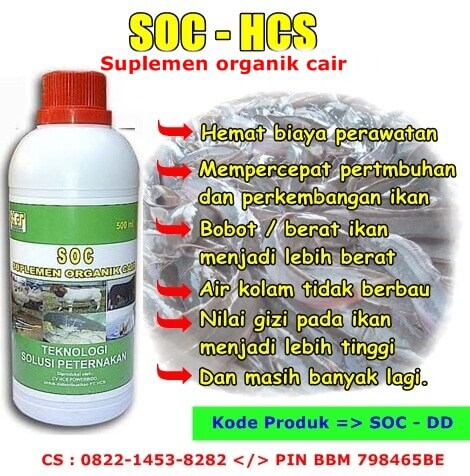 cara fermentasi as tahu untuk pakan lele soc hcs cara fermentasi as tahu untuk pakan lele soc hcs