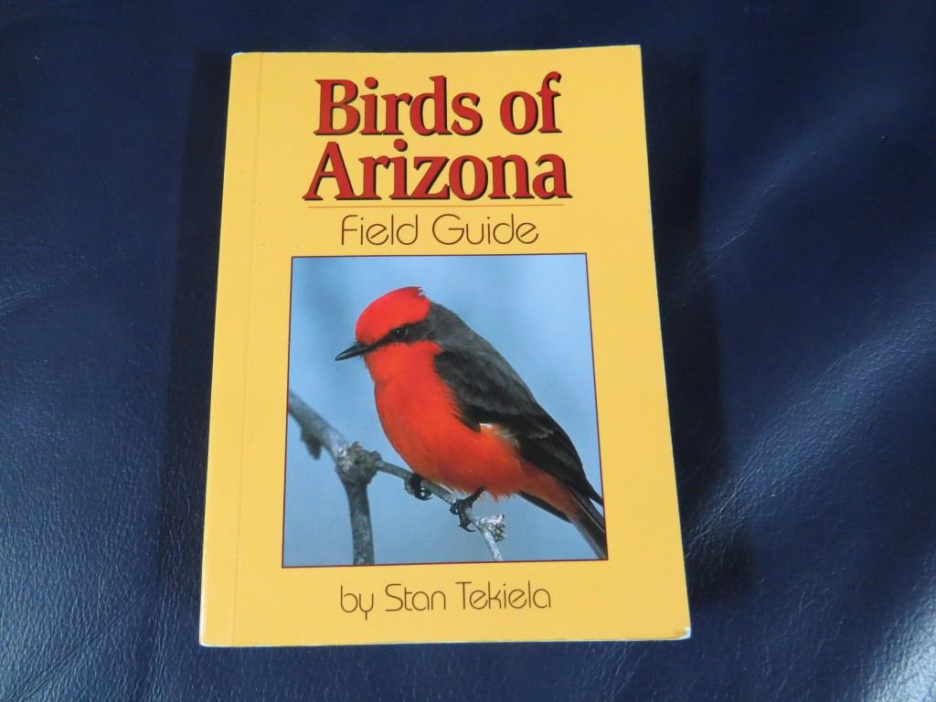 Bird In Everything: Birds Of Arizona Field Guide