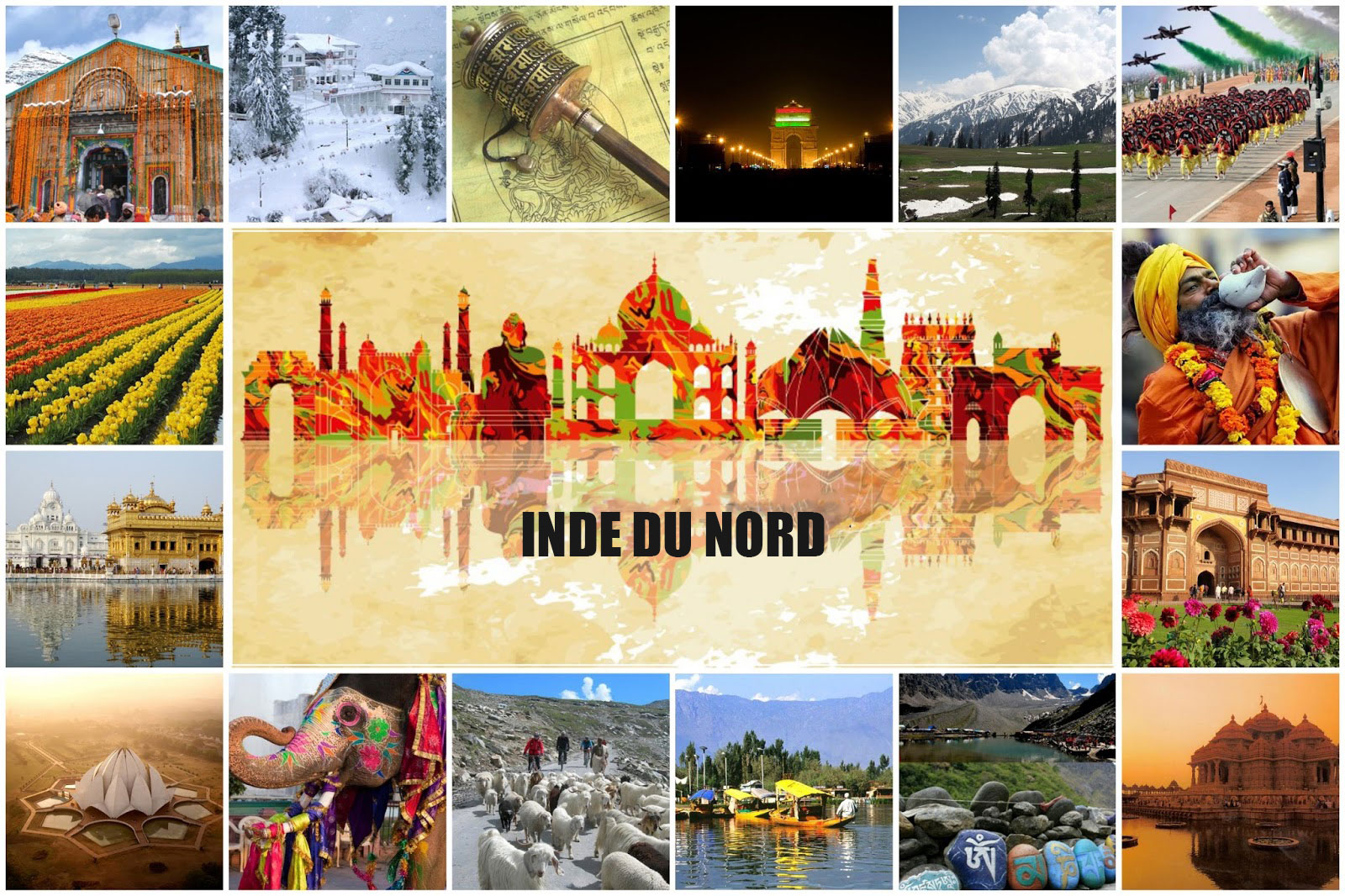 Blogues A D Couvrez La Plus Grosse Fleur Du Monde A Ma Planete