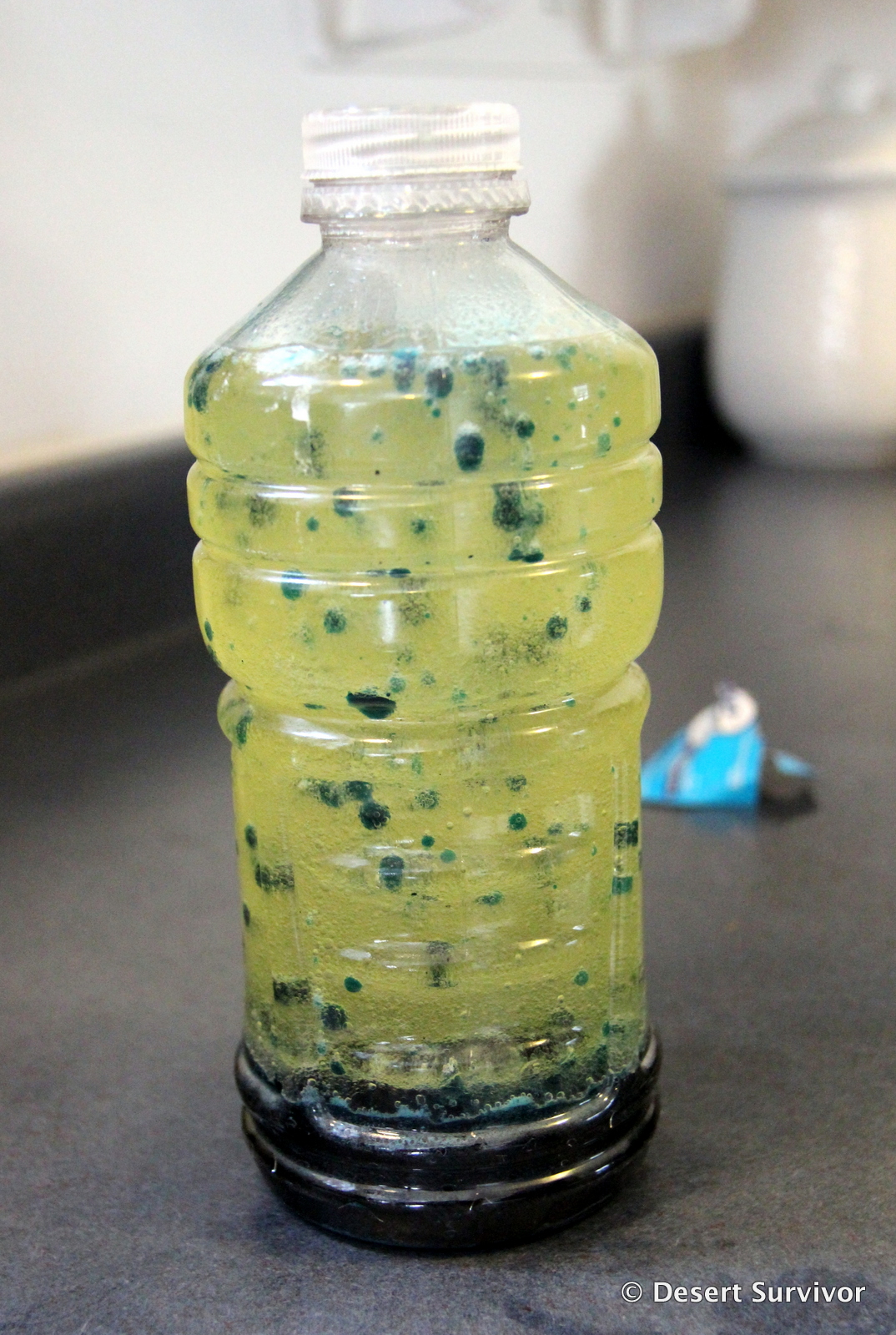 Desert Survivor Science Experiment Lava Lamp