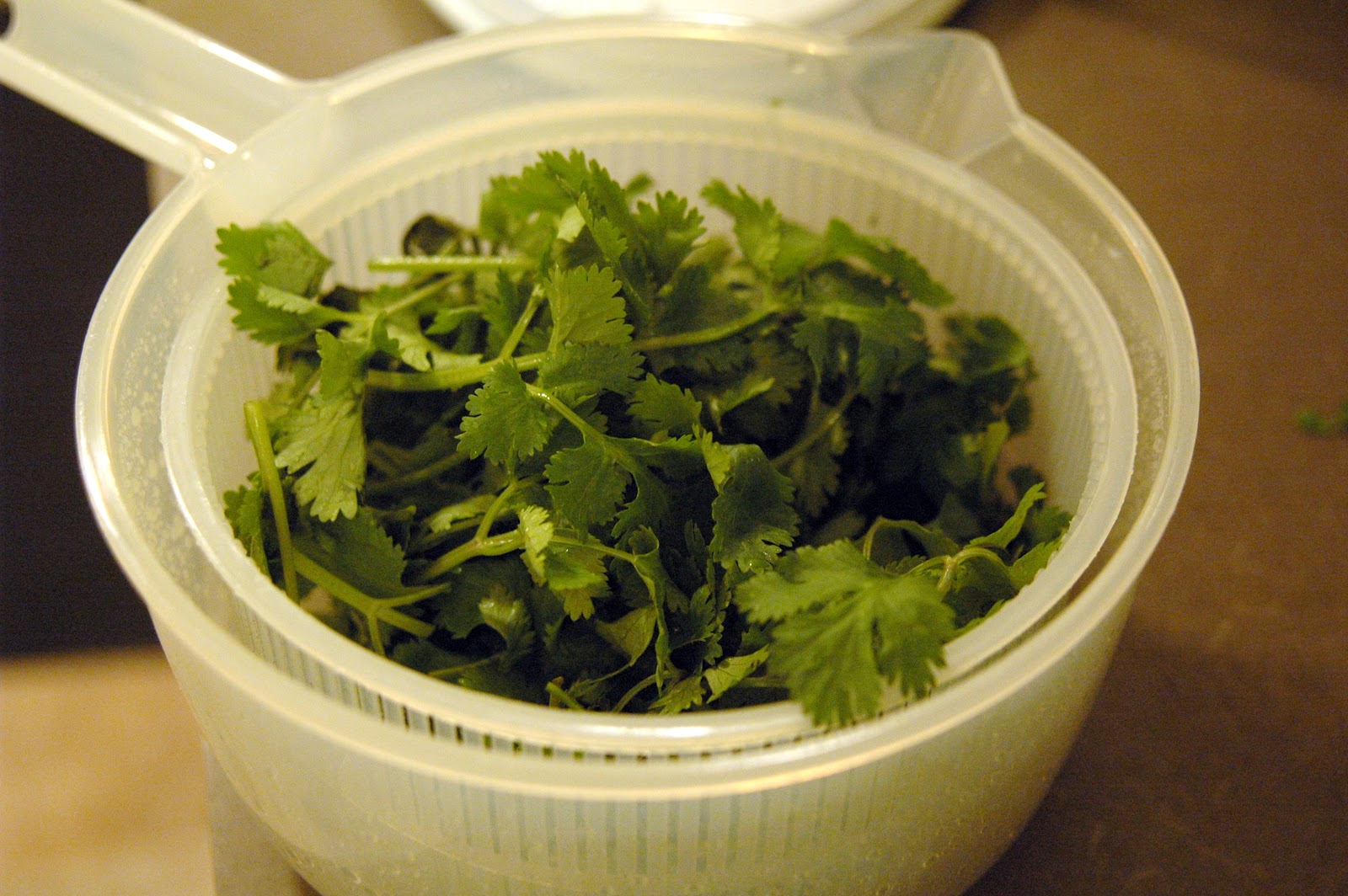 One Step At A Time... Frozen Cilantro Cubes