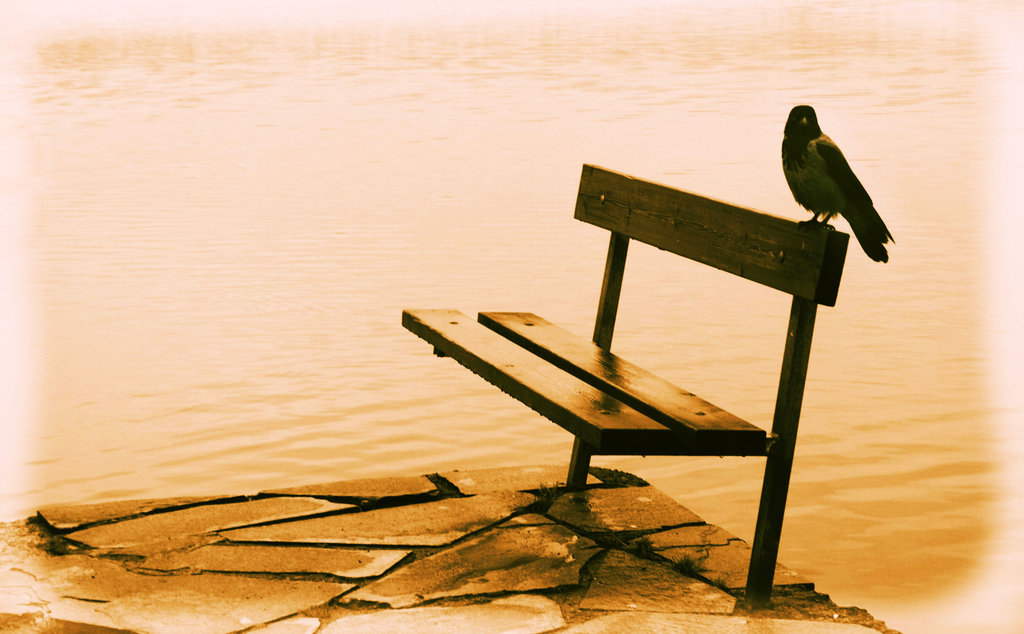 Девушка путешествует. Adventure holiday. Life experiences quotes. Life experience. Взаимопомощь и поддержка.