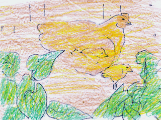 Warna dasar ayam, tumbuhan, dan latar belakang Gambar Warna dasar ayam, tumbuhan, dan latar belakang sebagai Cara Sketsa Flora dan Fauna Dengan Mudah