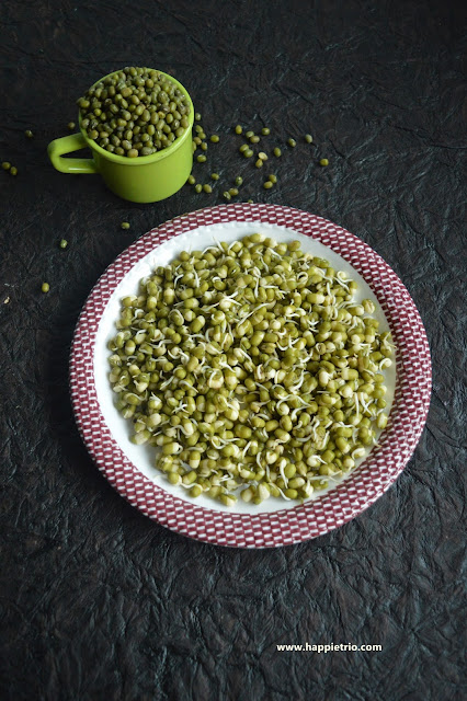 Green Gram Sprouts | Mung Bean Sprouts | How to sprout Green Gram