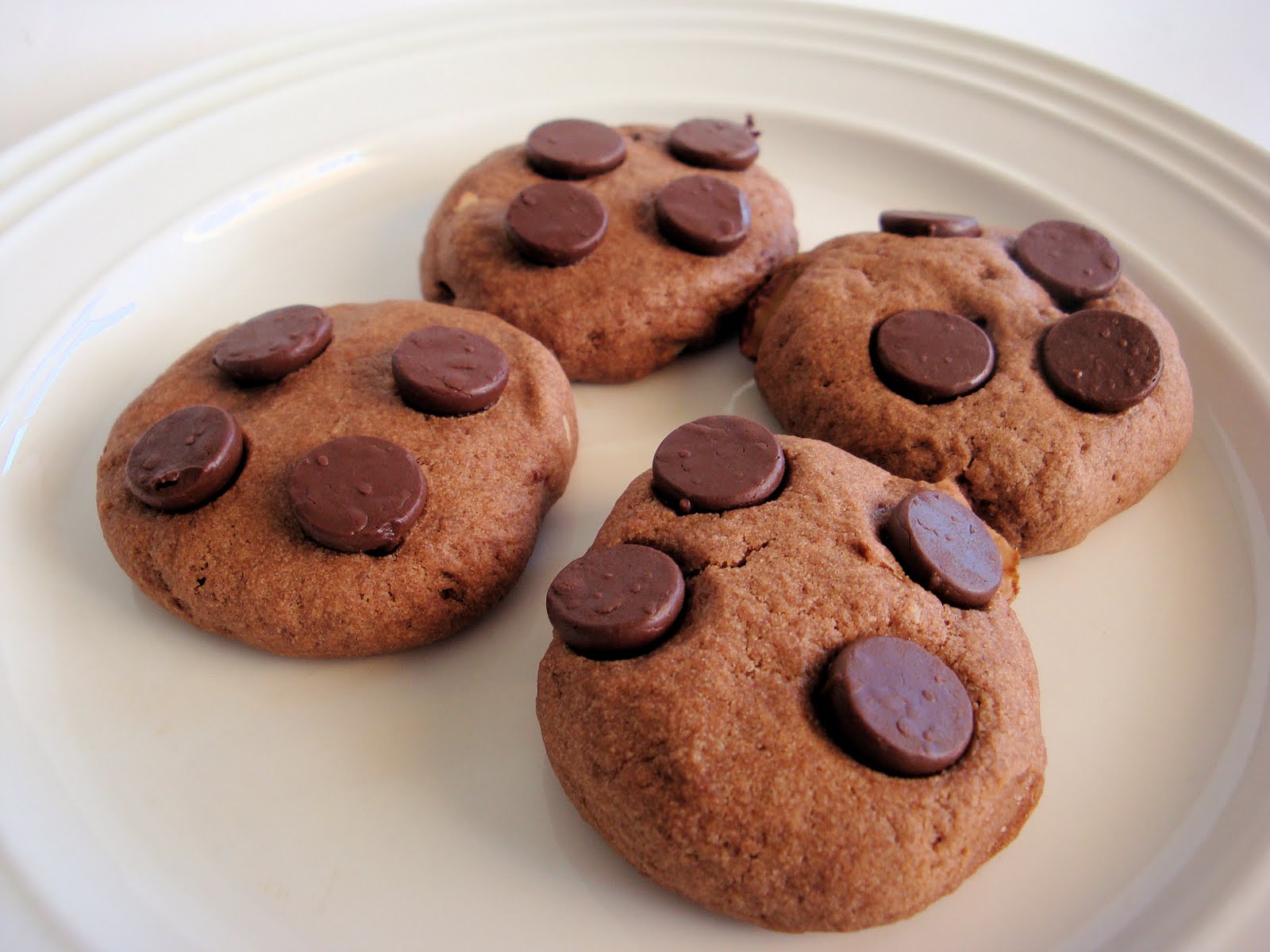 DAILY DOSES OF SUGAR: Chocolate Chip Cookies